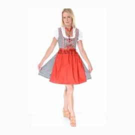 Traditional Mini Dirndl
