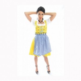 Traditional Mini Dirndl